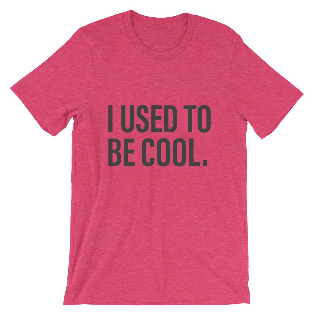 I Used To Be Cool Red Dad T-Shirt - House of Dad