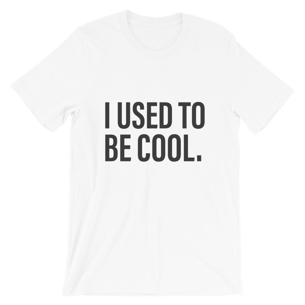 I Used To Be Cool White Dad T-Shirt - House of Dad